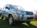 2007 Desert Sage Metallic Hyundai Tucson GLS  photo #12