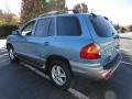 2004 Arctic Blue Hyundai Santa Fe LX 4WD  photo #4