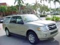 Pueblo Gold Metallic 2008 Ford Expedition EL XLT