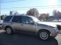 2006 Graphite Gray Metallic Saab 9-7X 4.2i  photo #3