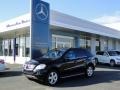 Black - ML 350 Photo No. 2