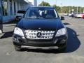 Black - ML 350 Photo No. 11