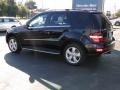 Black - ML 350 Photo No. 12