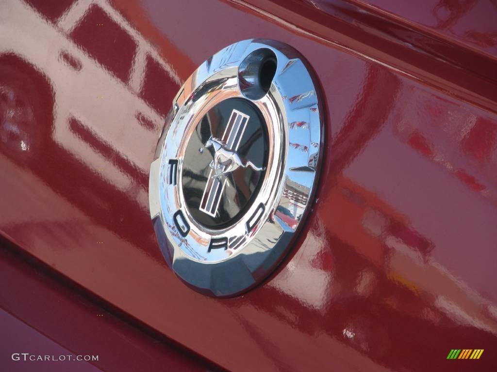 2007 Mustang V6 Deluxe Coupe - Torch Red / Light Graphite photo #21