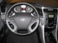 Gray Dashboard Photo for 2011 Hyundai Sonata #39940006