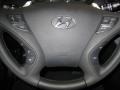 2011 Hyundai Sonata SE Controls