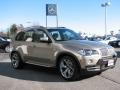 2007 Platinum Bronze Metallic BMW X5 4.8i  photo #3