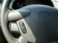 2004 Imperial Blue Kia Sedona EX  photo #29