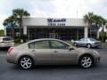 2006 Spirited Bronze Pearl Nissan Maxima 3.5 SE  photo #39