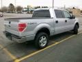 Brilliant Silver Metallic - F150 XLT SuperCrew 4x4 Photo No. 4