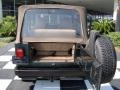 2002 Shale Green Metallic Jeep Wrangler Sport 4x4  photo #13