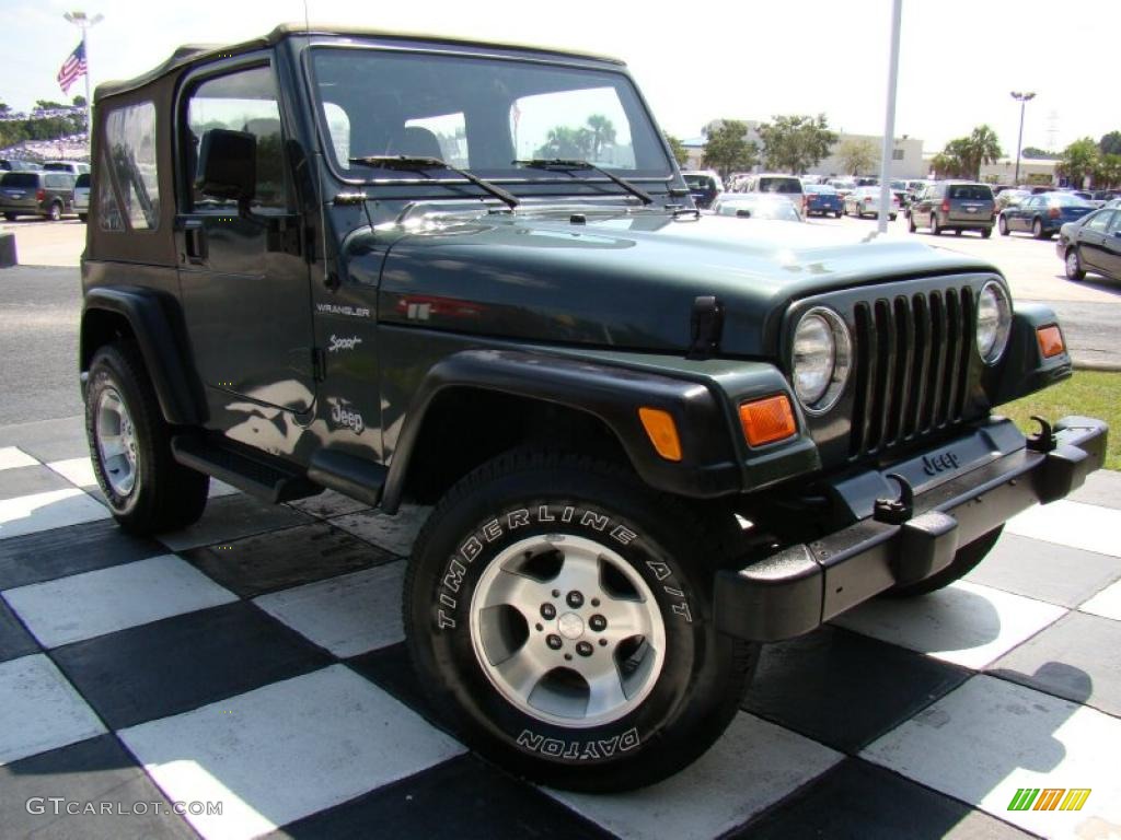 2002 Wrangler Sport 4x4 - Shale Green Metallic / Camel Beige photo #31