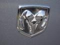 Silver Steel Metallic - Charger SE Photo No. 32