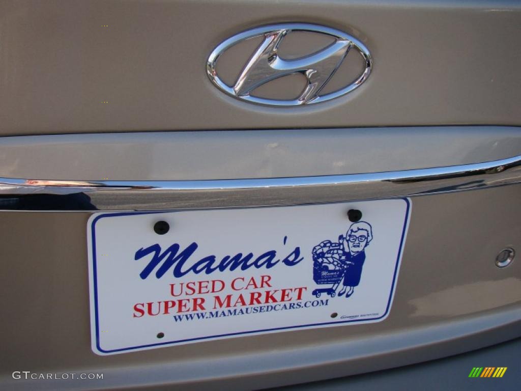 2010 Elantra GLS - Laguna Sand / Beige photo #33