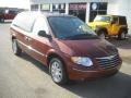 2007 Cognac Crystal Pearl Chrysler Town & Country Limited  photo #20