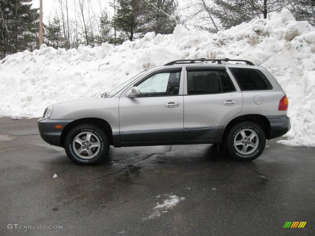 2004 Santa Fe LX 4WD - Pewter / Gray photo #7