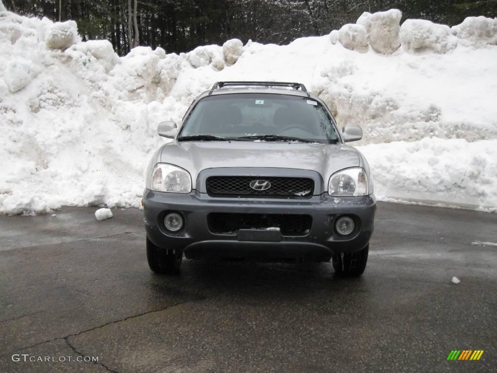 2004 Santa Fe LX 4WD - Pewter / Gray photo #8