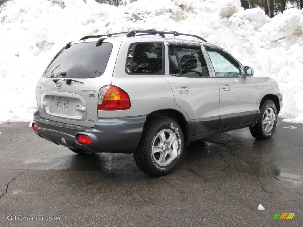 2004 Santa Fe LX 4WD - Pewter / Gray photo #12