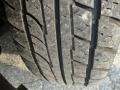 Silver Birch Metallic - Freestyle Limited AWD Photo No. 45