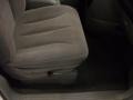 Stone White - Grand Caravan SXT Photo No. 23