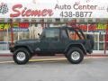 2004 Shale Green Metallic Jeep Wrangler Unlimited 4x4  photo #1