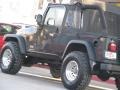 2004 Shale Green Metallic Jeep Wrangler Unlimited 4x4  photo #4