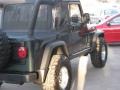 2004 Shale Green Metallic Jeep Wrangler Unlimited 4x4  photo #5