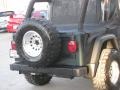2004 Shale Green Metallic Jeep Wrangler Unlimited 4x4  photo #6
