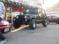 2004 Shale Green Metallic Jeep Wrangler Unlimited 4x4  photo #8