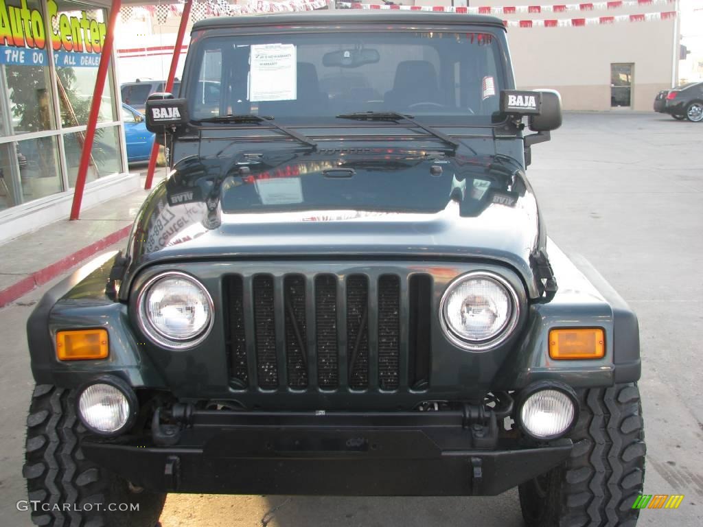 2004 Wrangler Unlimited 4x4 - Shale Green Metallic / Dark Slate Gray photo #10