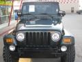 2004 Shale Green Metallic Jeep Wrangler Unlimited 4x4  photo #10