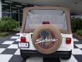 2001 Jeep Wrangler Sahara 4x4 Marks and Logos