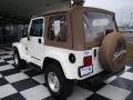 Stone White - Wrangler Sahara 4x4 Photo No. 9