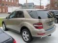 2010 Sand Beige Metallic Mercedes-Benz ML 350 4Matic  photo #2