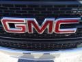 2010 Quicksilver Metallic GMC Terrain SLE  photo #22