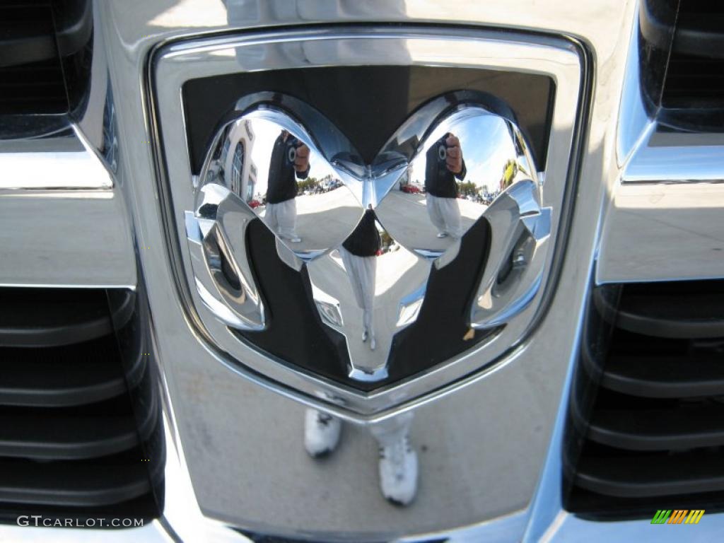 2010 Dodge Ram 2500 SLT Regular Cab 4x4 Marks and Logos Photo #39972376