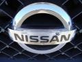 2010 Nissan Armada Platinum 4WD Badge and Logo Photo