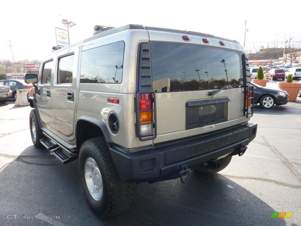 2003 H2 SUV - Pewter Metallic / Wheat photo #5