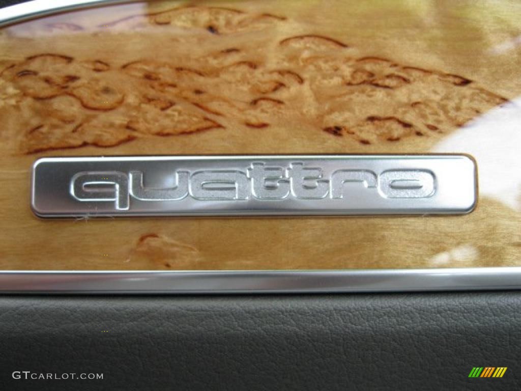 2010 Audi A6 3.0 TFSI quattro Sedan Marks and Logos Photo #39984820