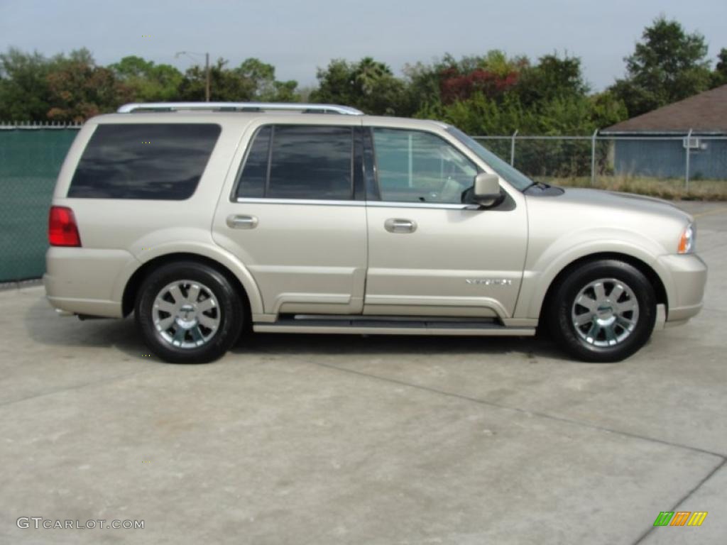 Light French Silk Metallic 2004 Lincoln Navigator Ultimate Exterior Photo #39991128