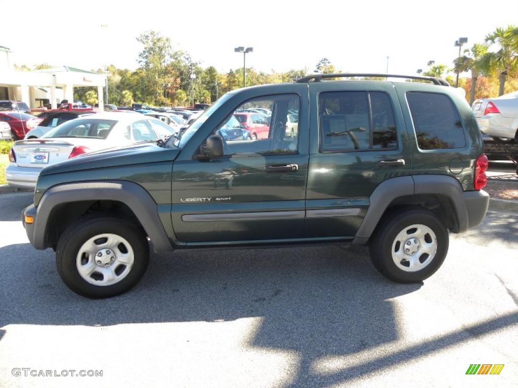 2002 Liberty Sport - Shale Green Metallic / Dark Slate Gray photo #2