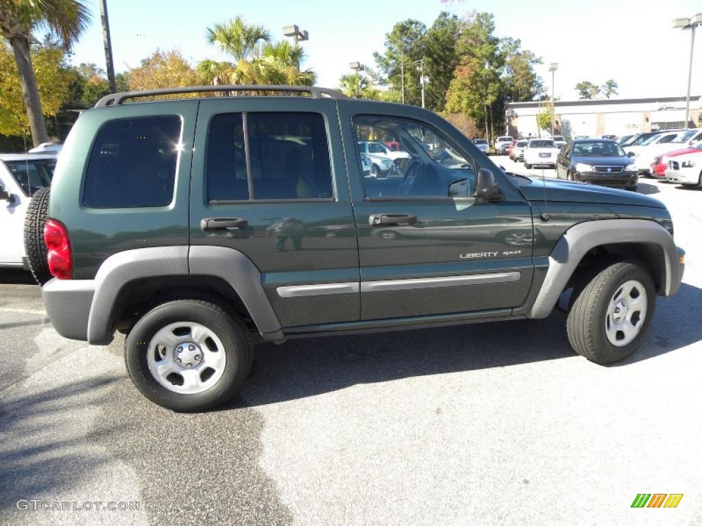 Shale Green Metallic 2002 Jeep Liberty Sport Exterior Photo #39995456