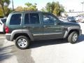 Shale Green Metallic 2002 Jeep Liberty Sport Exterior