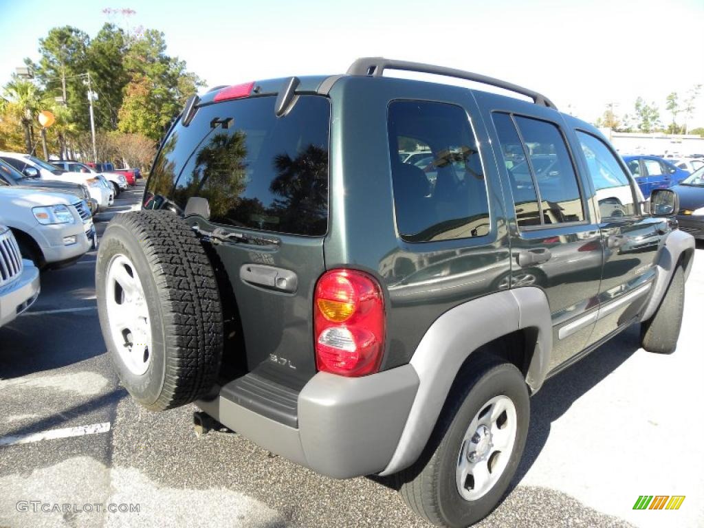 2002 Liberty Sport - Shale Green Metallic / Dark Slate Gray photo #13