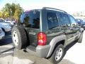 2002 Shale Green Metallic Jeep Liberty Sport  photo #13