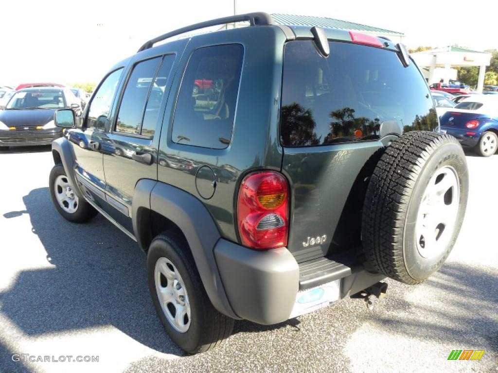 2002 Liberty Sport - Shale Green Metallic / Dark Slate Gray photo #16