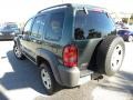 2002 Shale Green Metallic Jeep Liberty Sport  photo #16