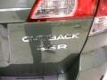 Cypress Green Pearl - Outback 3.6R Limited Wagon Photo No. 14