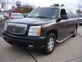 Black Raven - Escalade ESV AWD Photo No. 1