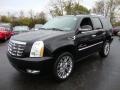 Black Raven - Escalade AWD Photo No. 2